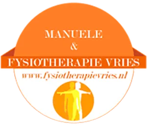 Logo Fysiotherapie Vries