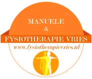 Logo Fysiotherapie Vries